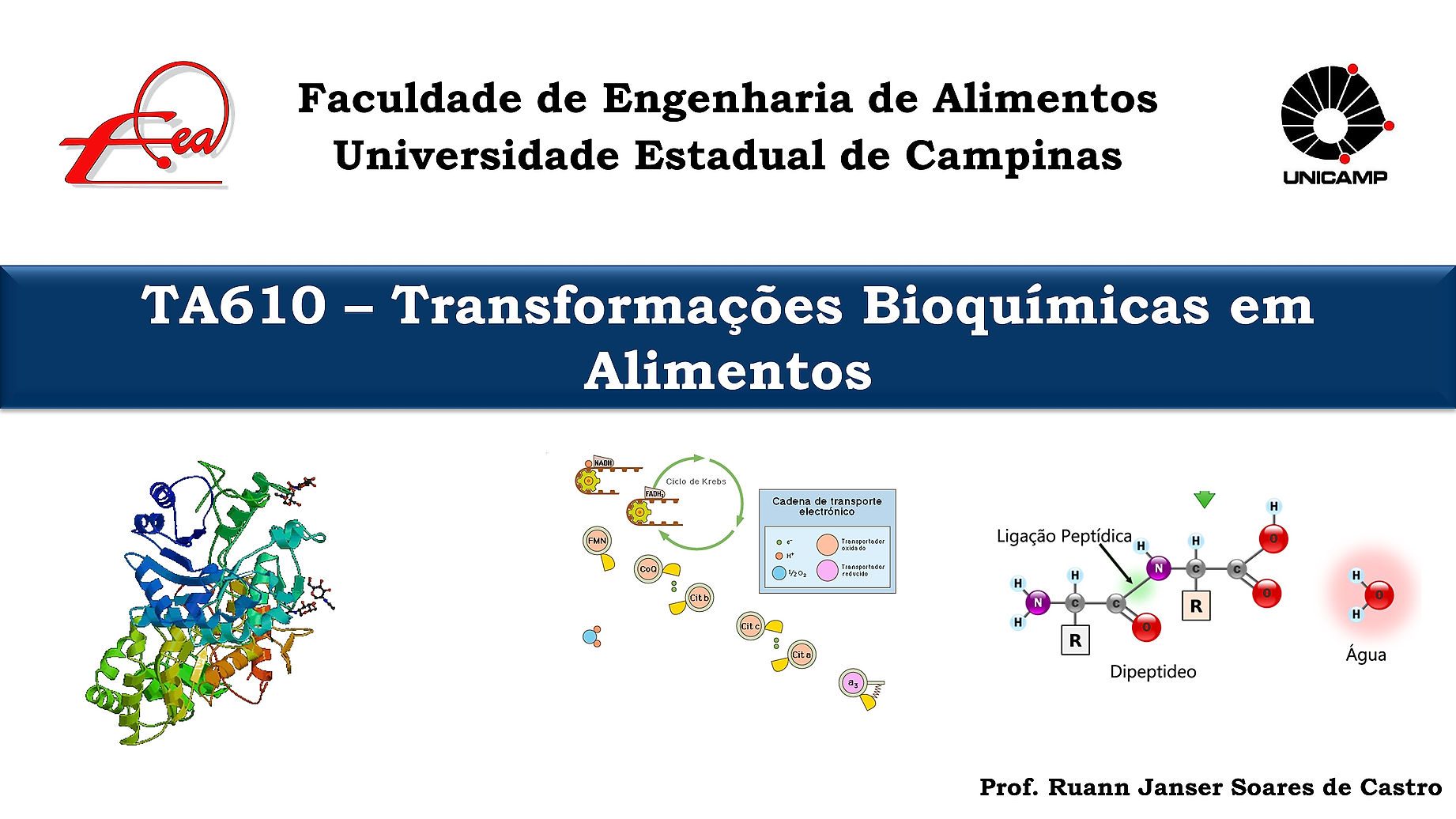 Aulas TA610 - Transformações Bioquímicas em Alimentos - FEA - Unicamp